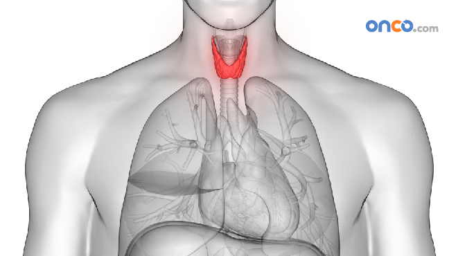 Hypopharyngeal throat cancer explained with an anatomy of the hypopharynx region