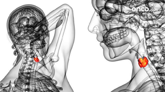 Oropharyngeal cancer staging explained with an image of oropharynx anatomy