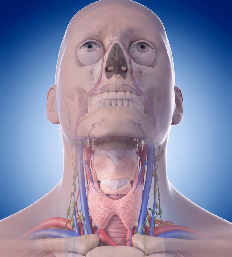 different-types-of-throat-cancer-onco