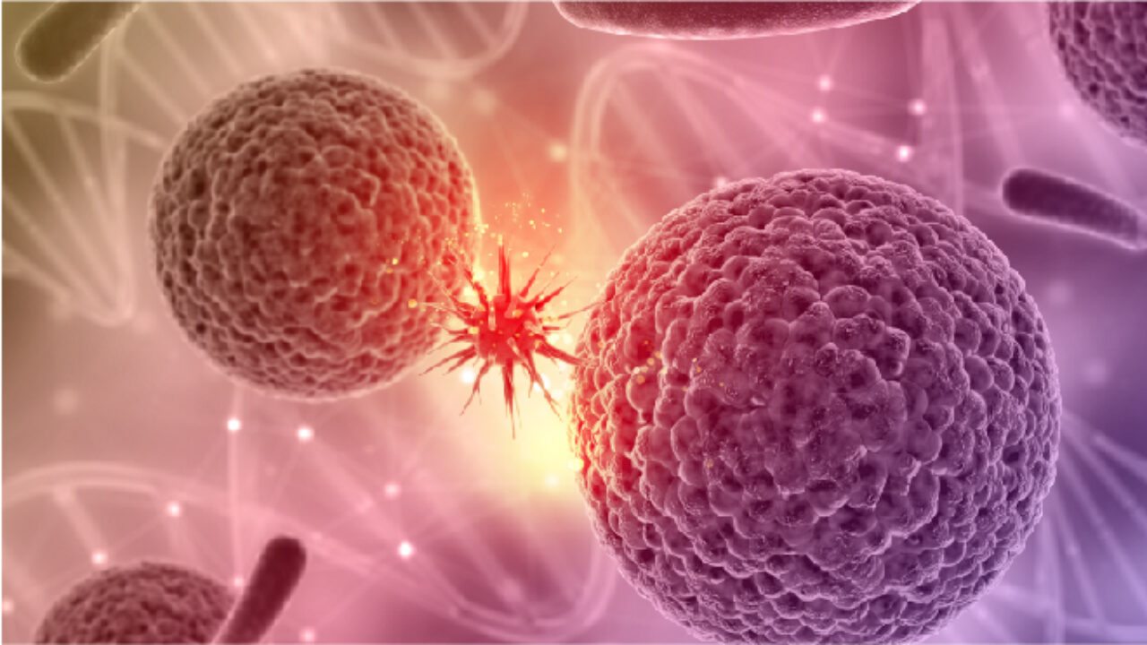 Cancer chemotherapy side-effects on blood cell development •