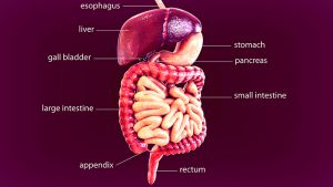 Stage 2 Gallbladder Cancer Treatment - Onco