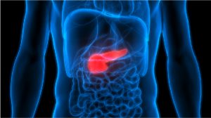 Gallbladder Cancer Survival Rates, Treatment Outcome and Follow Ups ...