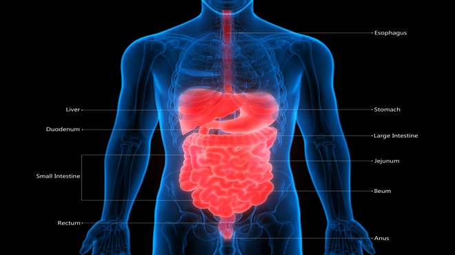 Visualisation of the affected area for stomach cancer