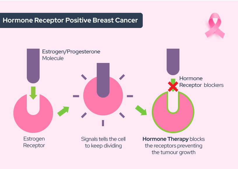 breast cancer hormone therapy