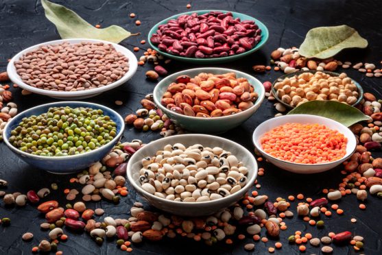 plant based protein in cancer diet