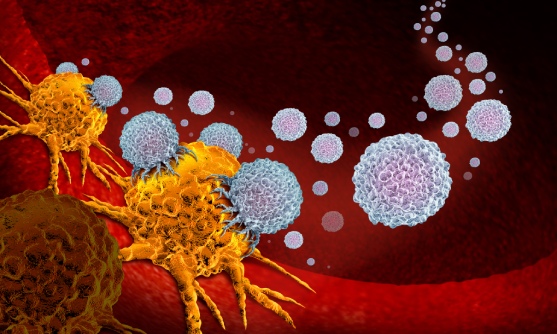 immunotherapy for cancer cure