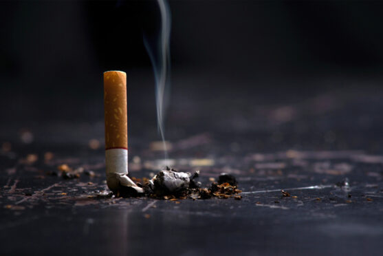 tobacco or smoking can cause cancer and is among 6 habits that can increase cancer risk